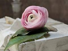 천새윤::XX::2학년