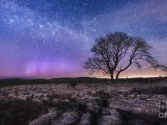 평안한 밤이죠.