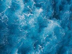 미카엘과 이사벨라의 이야기