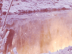 중등부에 올라가며