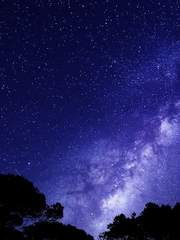 푸른 전차 설정집