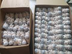 현제라네 포장 노예 후기