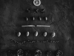 십이월 이십오일의 고백