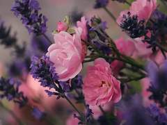 200910. 眼睛_안정