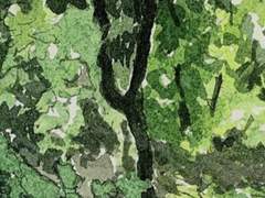 죽고 싶어지면 전화해