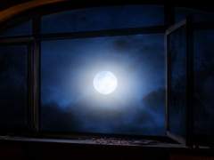 푸르디 푸른 너를 붉게 물들여가며,