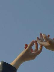 확증 편향적 사랑궤도