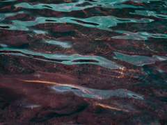 필 독 : 공 지 사 항