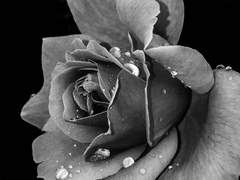 조슈아 Ending After