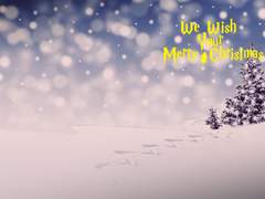 We Wish Your Merry Christmas