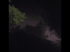 【42】 해내길 바라