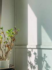 매일 사는 얘기