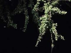 살고 싶은 집에 대해서