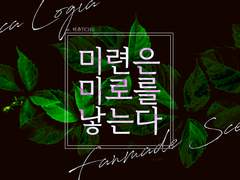 마기카로기아 팬 시나리오 「미련은 미로를 낳는다」