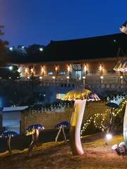 스쳐가는 일상의 아름다움