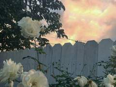 [현제독자] 끝과 끝 01