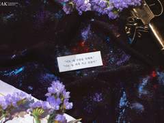 2020 COMMISSION PICS