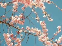 [고죠게토] 테세우스의 배