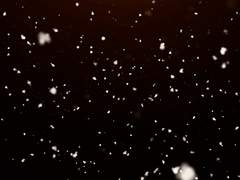 [이누카고] 널 사랑하는거지