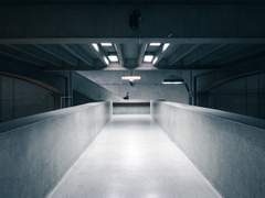 RAT가 죽어있었다.