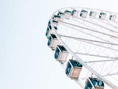 아기 치타와 버쓰데이 보이