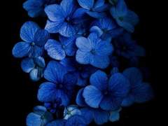 후회하지는 않아