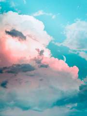 사군불가추(思君不可追)