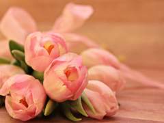 [하이큐/스가와라] 새벽, 파도처럼 네가 밀려온다