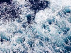 롤링페이퍼 #6 - 디저트