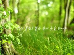 [칼리플란] 별은 숲에 몸을 뉘이고 下