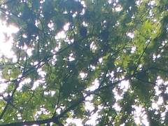 [강 새잎/XX/35/마캐팅부, 대리]