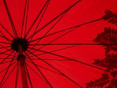 [장경고윤] 빙하인