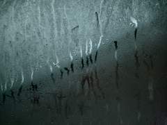 친애하는 베니티에게