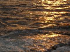 바다는 잘 있습니다