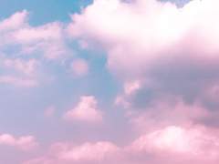 아홉번째 기록.