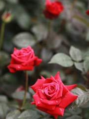 [슈짐] 정석 시리즈