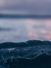 타이만 시나리오 배포