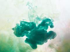 [카나곰삐] 푸른 장미의 꽃말은 불가능