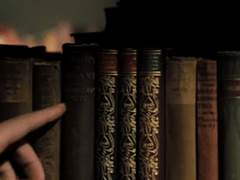 실베트라 프로필