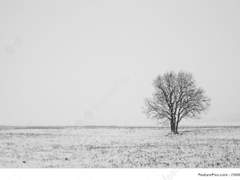 [고죠게토] 흘러간 물살은 되돌릴 수 없고