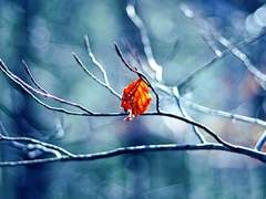 나의 어린 친구에게