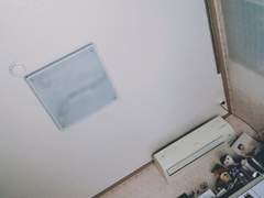 장차, 남돌의 여정 (下)