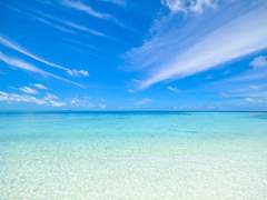 롤링페이퍼 #8 - 노래 추천