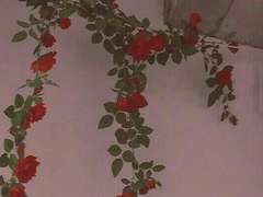 ▒▒▒▒▒ 의 죽음에 애도를 표하며,