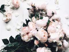 죽은 과거를 위한 세레나데