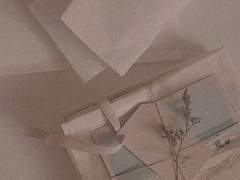 사랑을 말했다 上