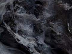 [시리스네] 악몽