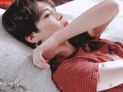 샤넬과 프라다 D