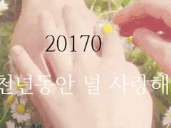 [카인요석] 20170