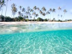 너에게 가는 길, 오이이와 Pro.